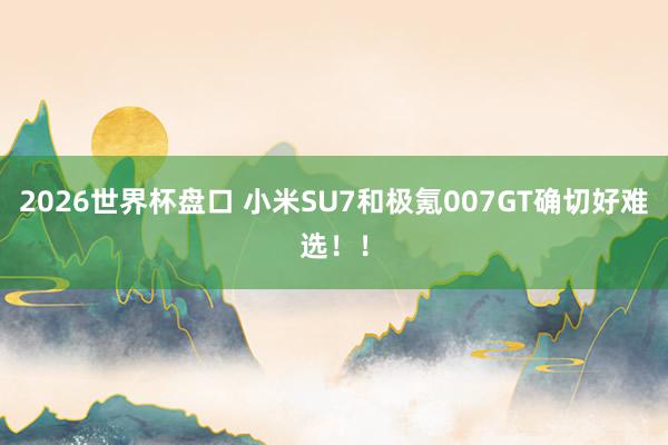 2026世界杯盘口 小米SU7和极氪007GT确切好难选！！