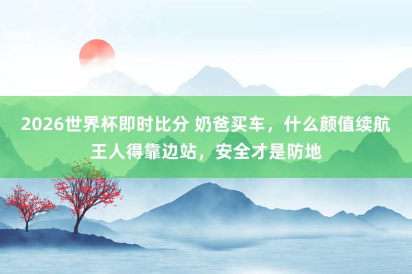 2026世界杯即时比分 奶爸买车，什么颜值续航王人得靠边站，安全才是防地
