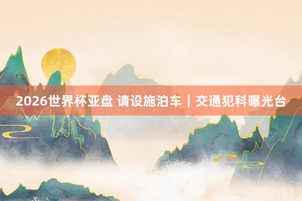 2026世界杯亚盘 请设施泊车｜交通犯科曝光台