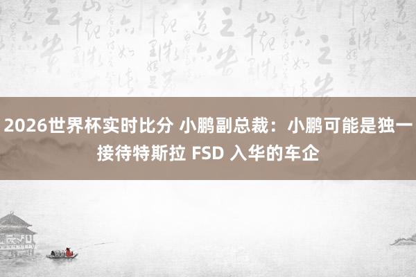 2026世界杯实时比分 小鹏副总裁：小鹏可能是独一接待特斯拉 FSD 入华的车企
