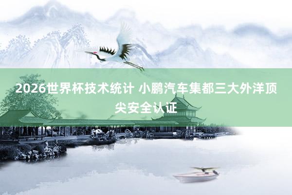 2026世界杯技术统计 小鹏汽车集都三大外洋顶尖安全认证
