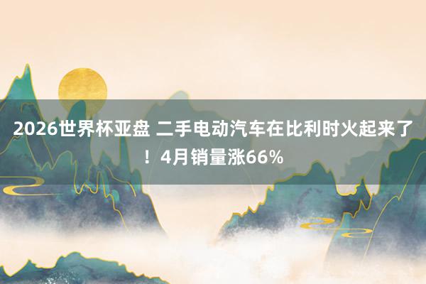 2026世界杯亚盘 二手电动汽车在比利时火起来了！4月销量涨66%