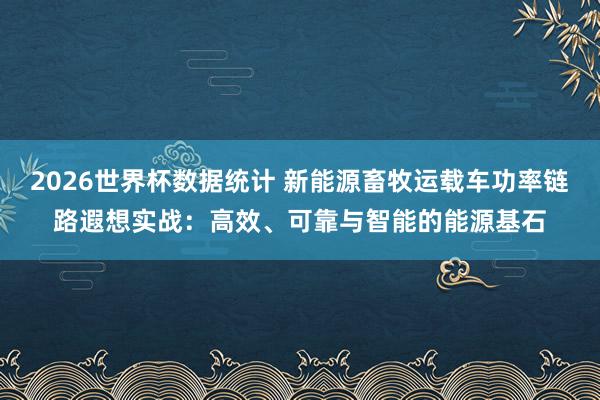 2026世界杯数据统计 新能源畜牧运载车功率链路遐想实战：高效、可靠与智能的能源基石