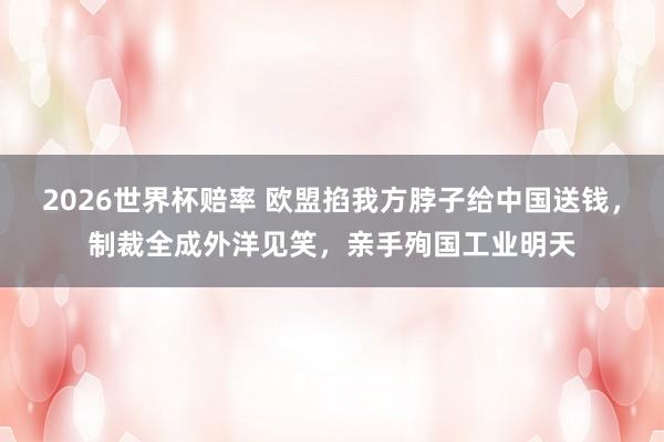 2026世界杯赔率 欧盟掐我方脖子给中国送钱，制裁全成外洋见笑，亲手殉国工业明天