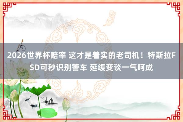 2026世界杯赔率 这才是着实的老司机！特斯拉FSD可秒识别警车 延缓变谈一气呵成