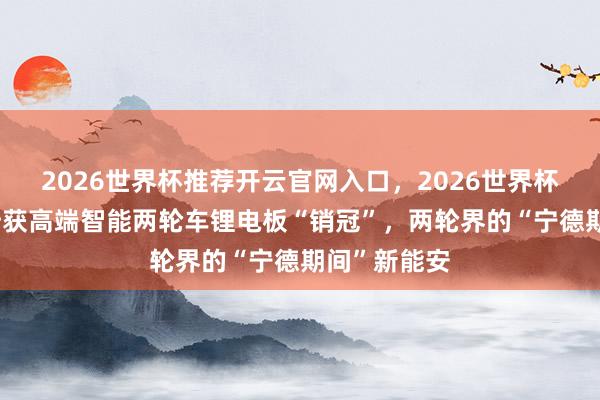 2026世界杯推荐开云官网入口，2026世界杯文字直播 斩获高端智能两轮车锂电板“销冠”，两轮界的“宁德期间”新能安