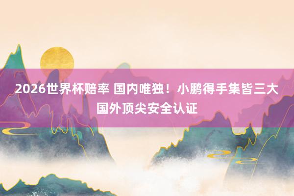 2026世界杯赔率 国内唯独！小鹏得手集皆三大国外顶尖安全认证