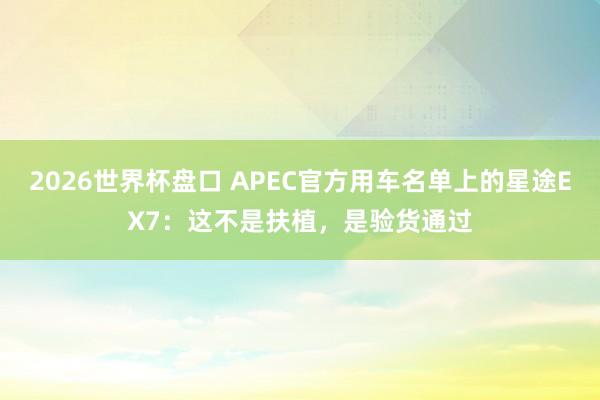 2026世界杯盘口 APEC官方用车名单上的星途EX7：这不是扶植，是验货通过