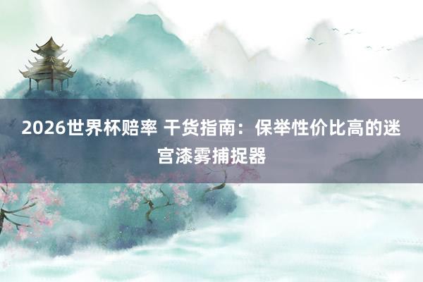 2026世界杯赔率 干货指南：保举性价比高的迷宫漆雾捕捉器