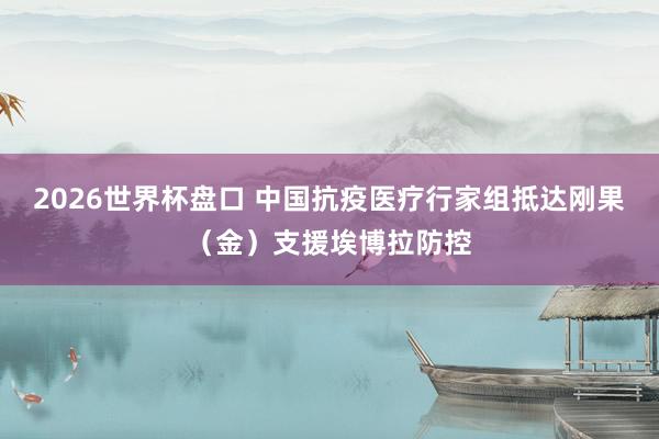 2026世界杯盘口 中国抗疫医疗行家组抵达刚果（金）支援埃博拉防控