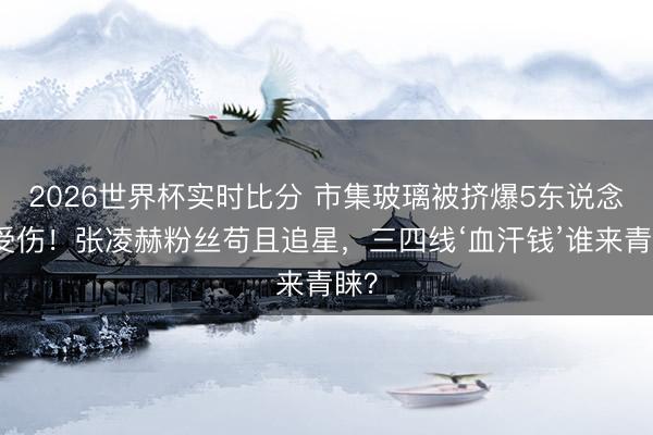 2026世界杯实时比分 市集玻璃被挤爆5东说念主受伤！张凌赫粉丝苟且追星，三四线‘血汗钱’谁来青睐？