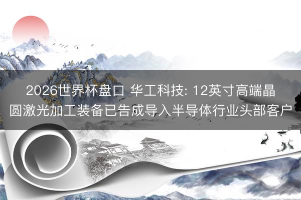 2026世界杯盘口 华工科技: 12英寸高端晶圆激光加工装备已告成导入半导体行业头部客户