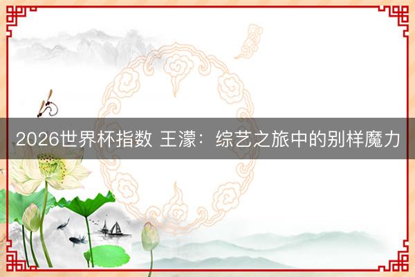 2026世界杯指数 王濛：综艺之旅中的别样魔力