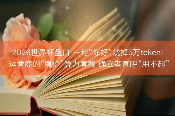 2026世界杯盘口 一句“你好”烧掉5万token! 运营商的“廉价”算力套餐 确立者直呼“用不起”